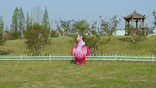 Disfraz Flamingo inflable rosa - Adulto