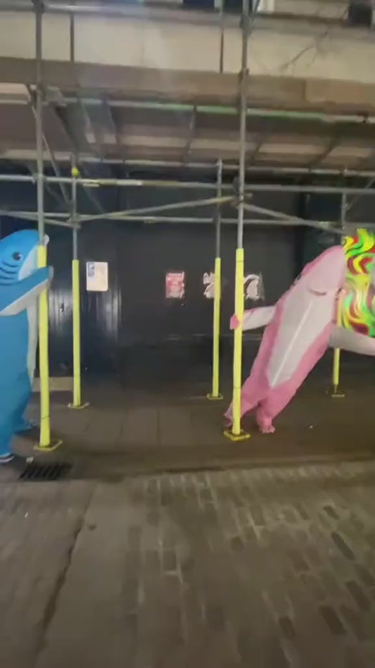 Tiburon inflable - Adulto